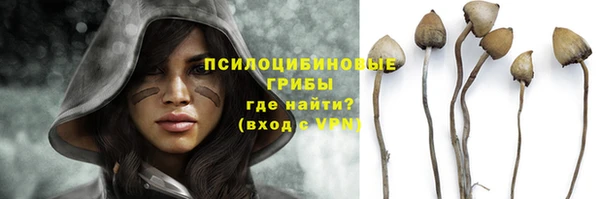 прущая мука Костерёво