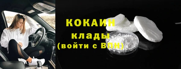 PSILOCYBIN Корсаков