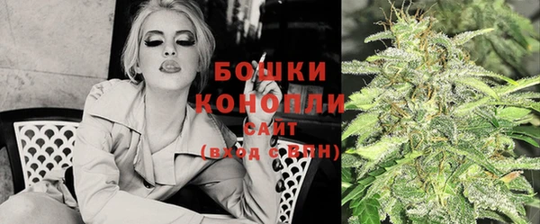 PSILOCYBIN Корсаков