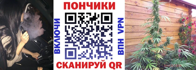 Бошки Шишки White Widow  Купить  Починок 